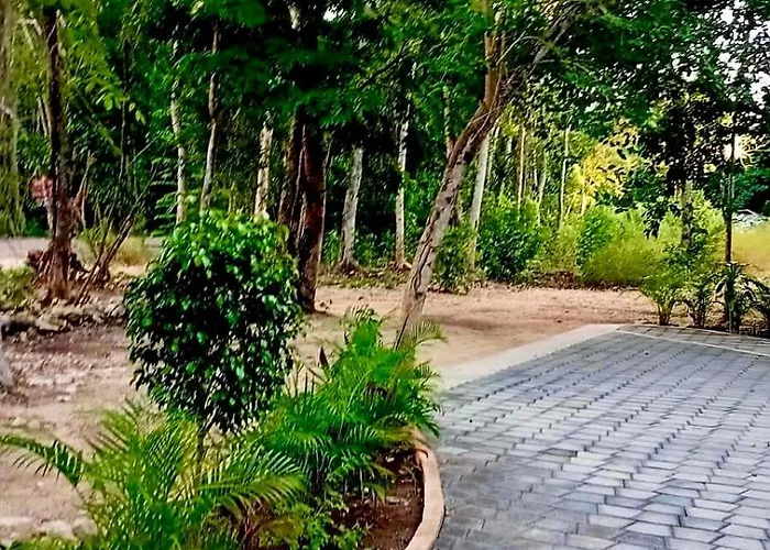 Retreat, Natural Magic And Tranquility * Tulum
